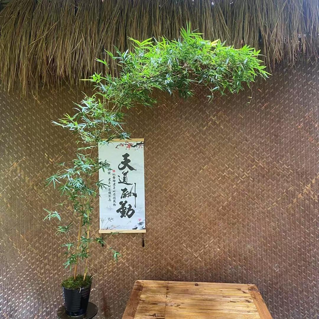 九号竹居