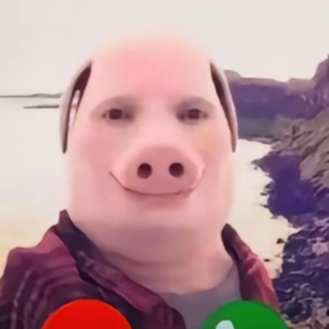 黏黏