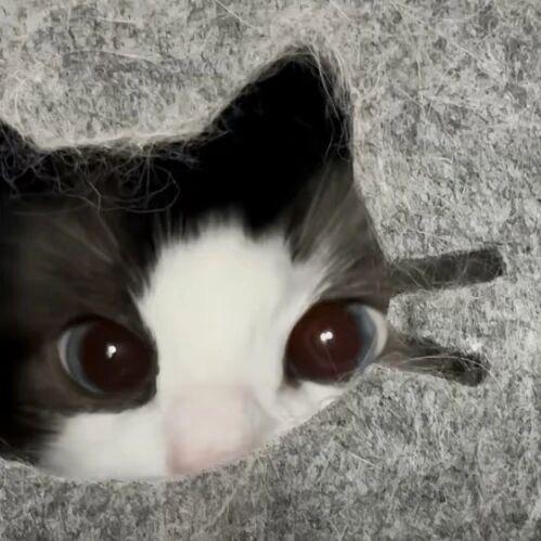 骨刺