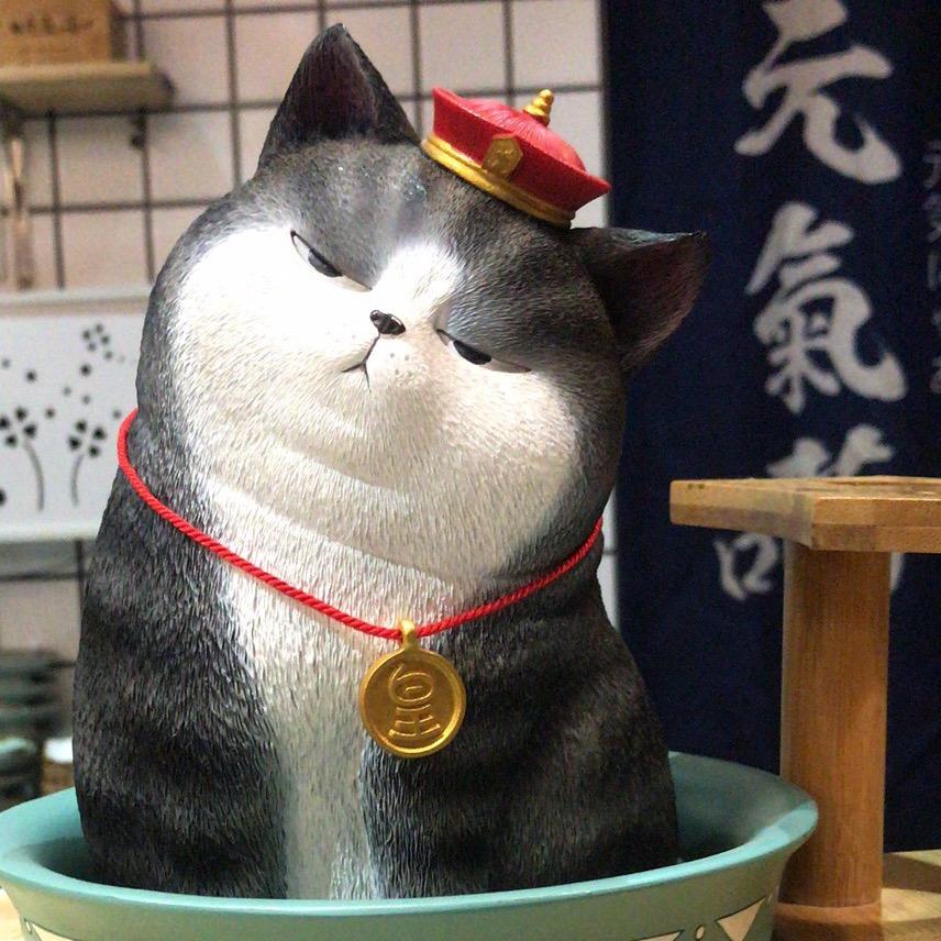 元气喵🐱喵喵姐