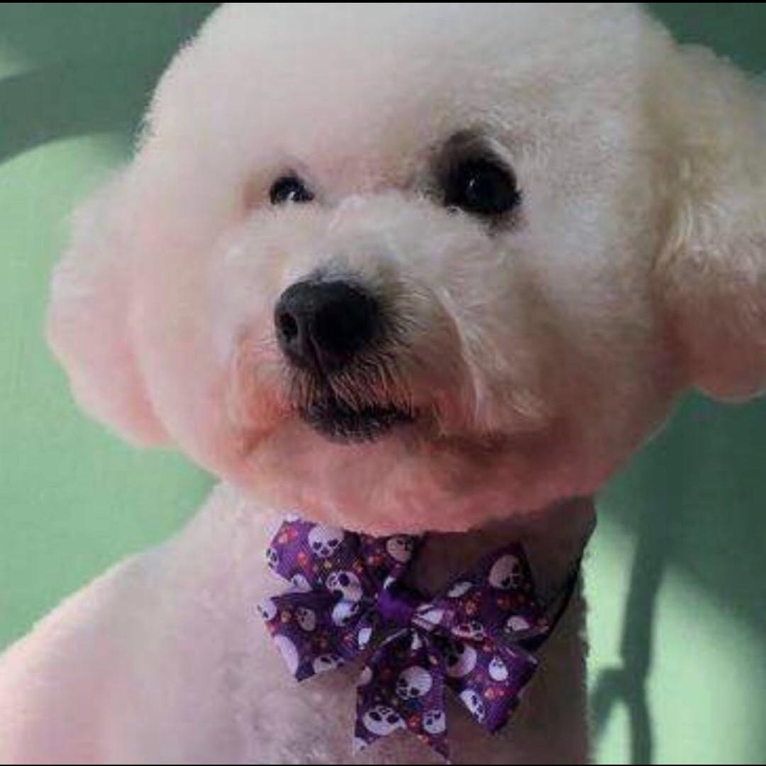 🌈樂樂順意🌈