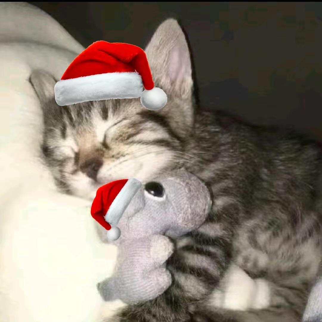 Nomi