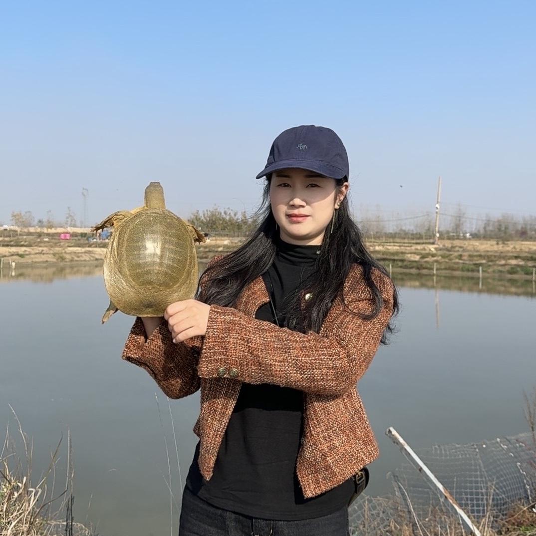 固始宏顺外塘甲鱼