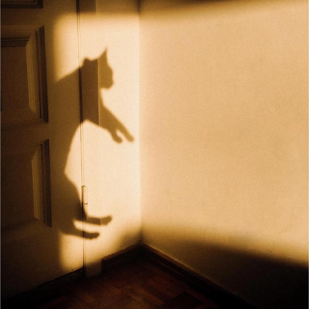 oOO