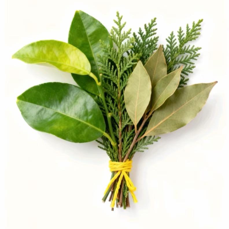 温柔的丽姬德43🌈