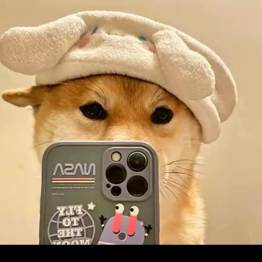 兰亭讯通
