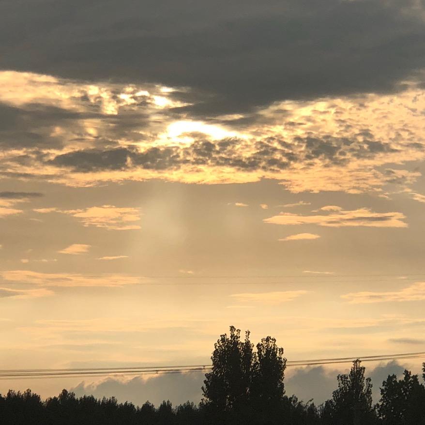 打小闻不了烟味🚬