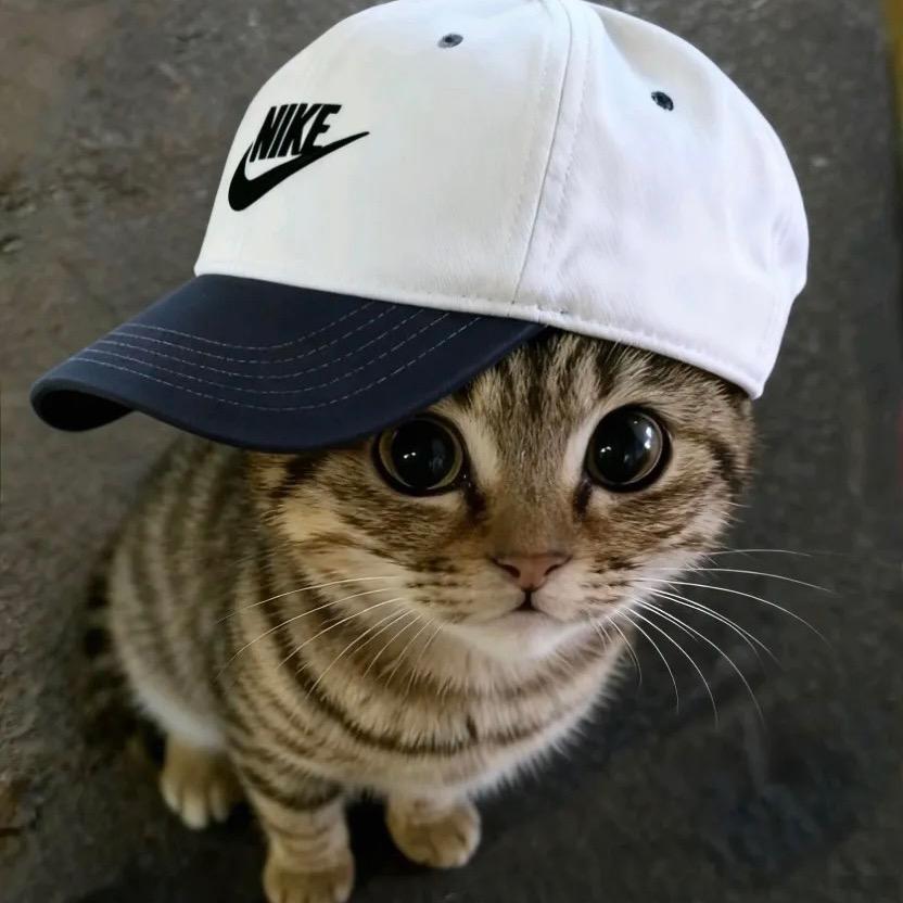 吱欧粥🥣