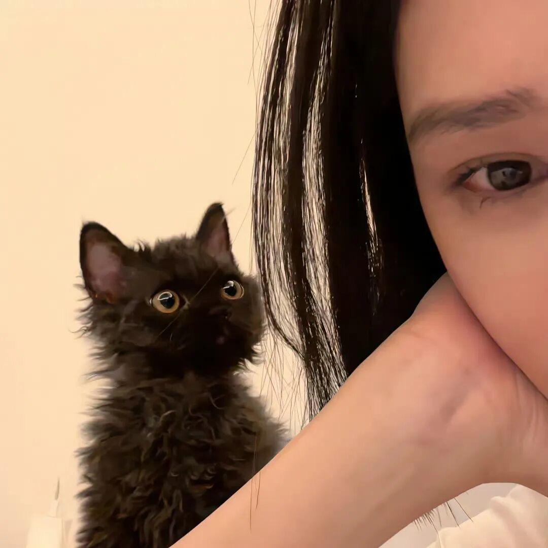 懒猫          🐈