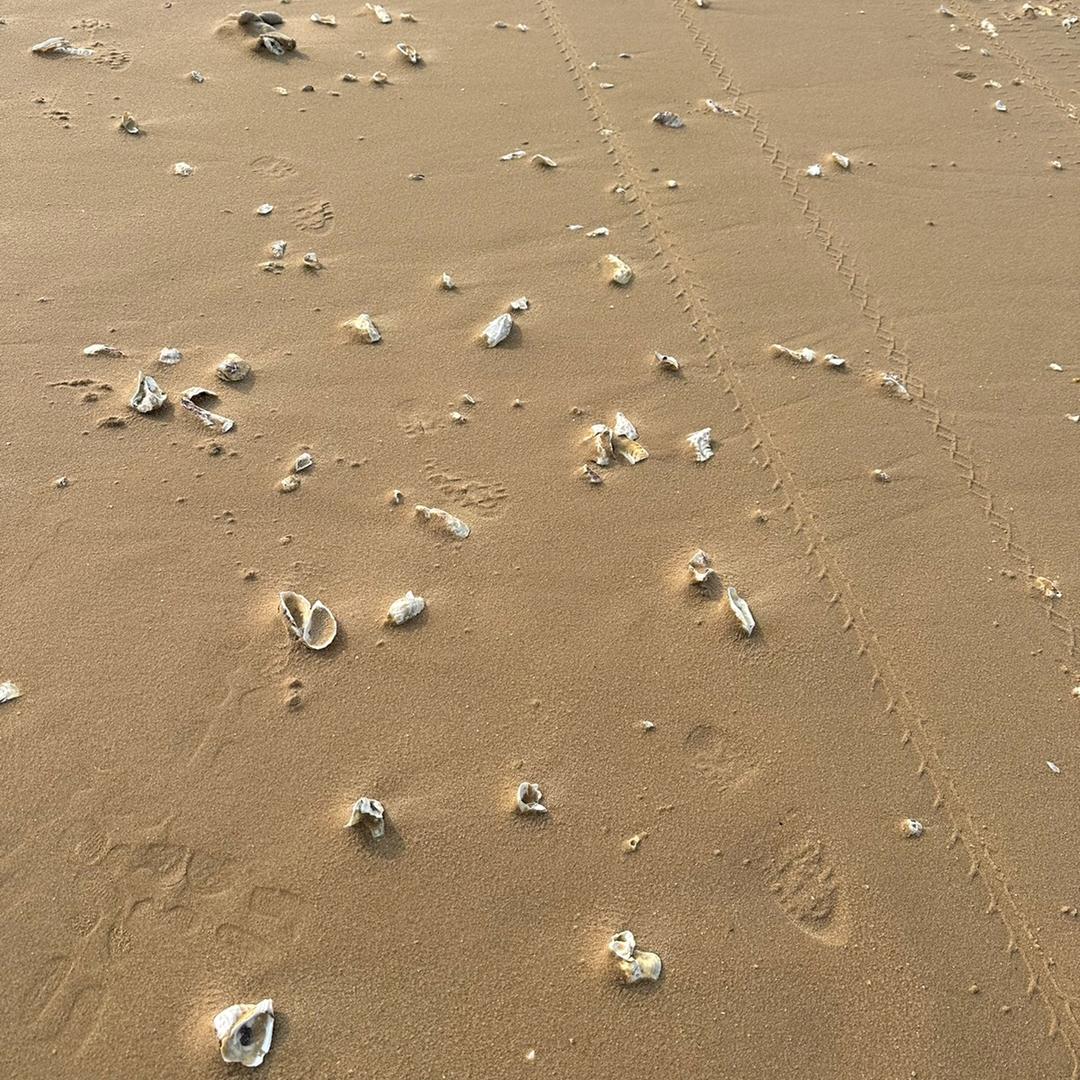 星儿💫🧚🏼‍♀️