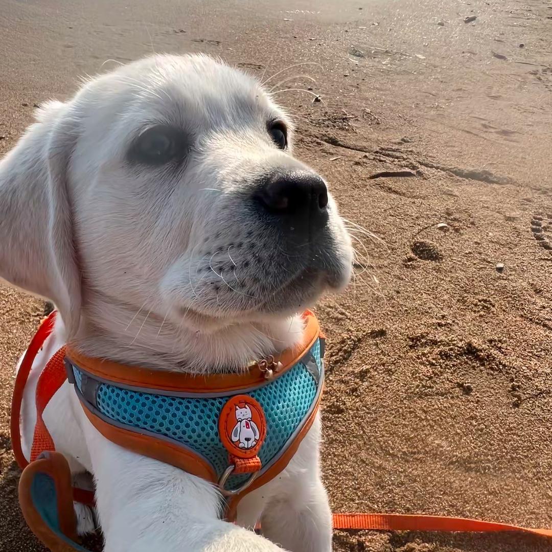 听一首摇篮曲__