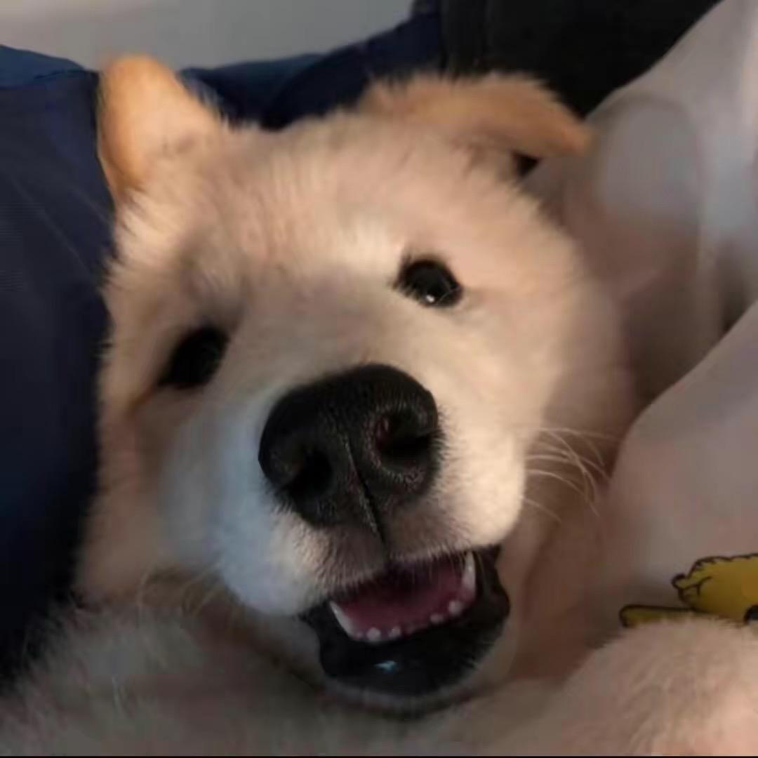 打不了一点