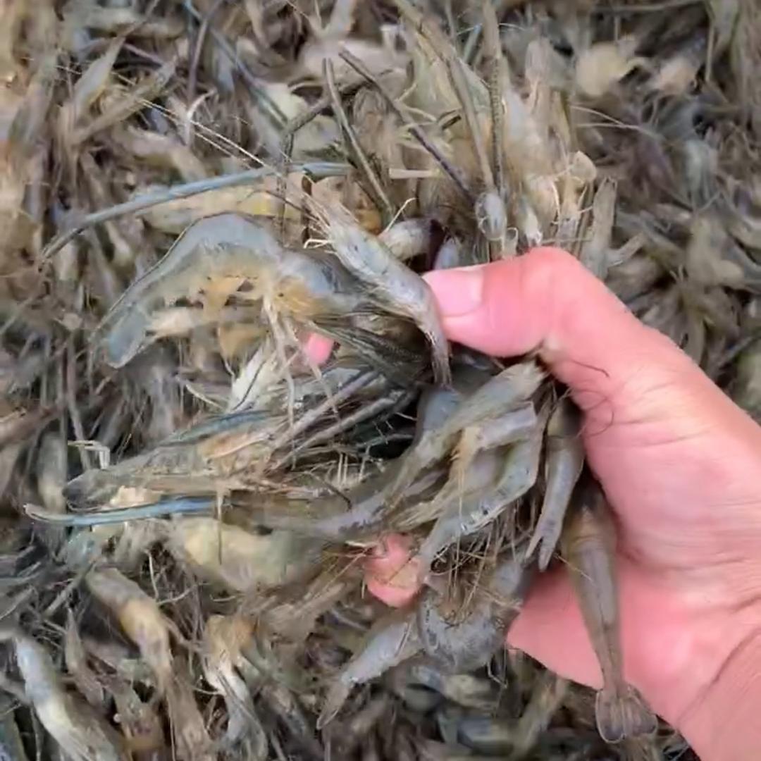 梅妹户外