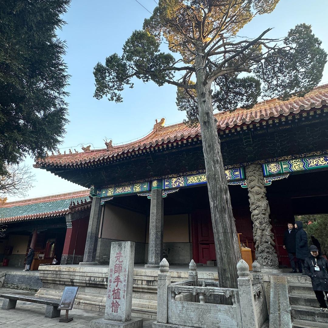 袁渡