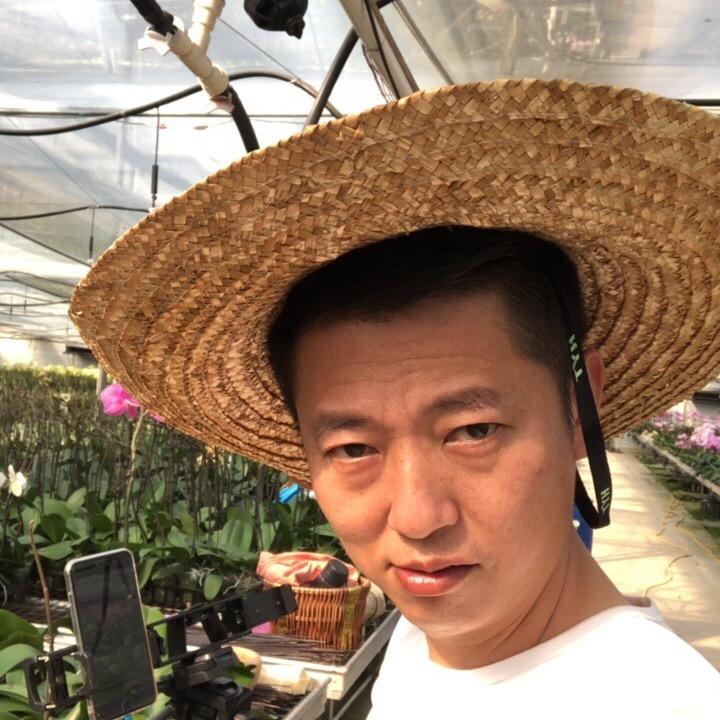 安哥兰朋友