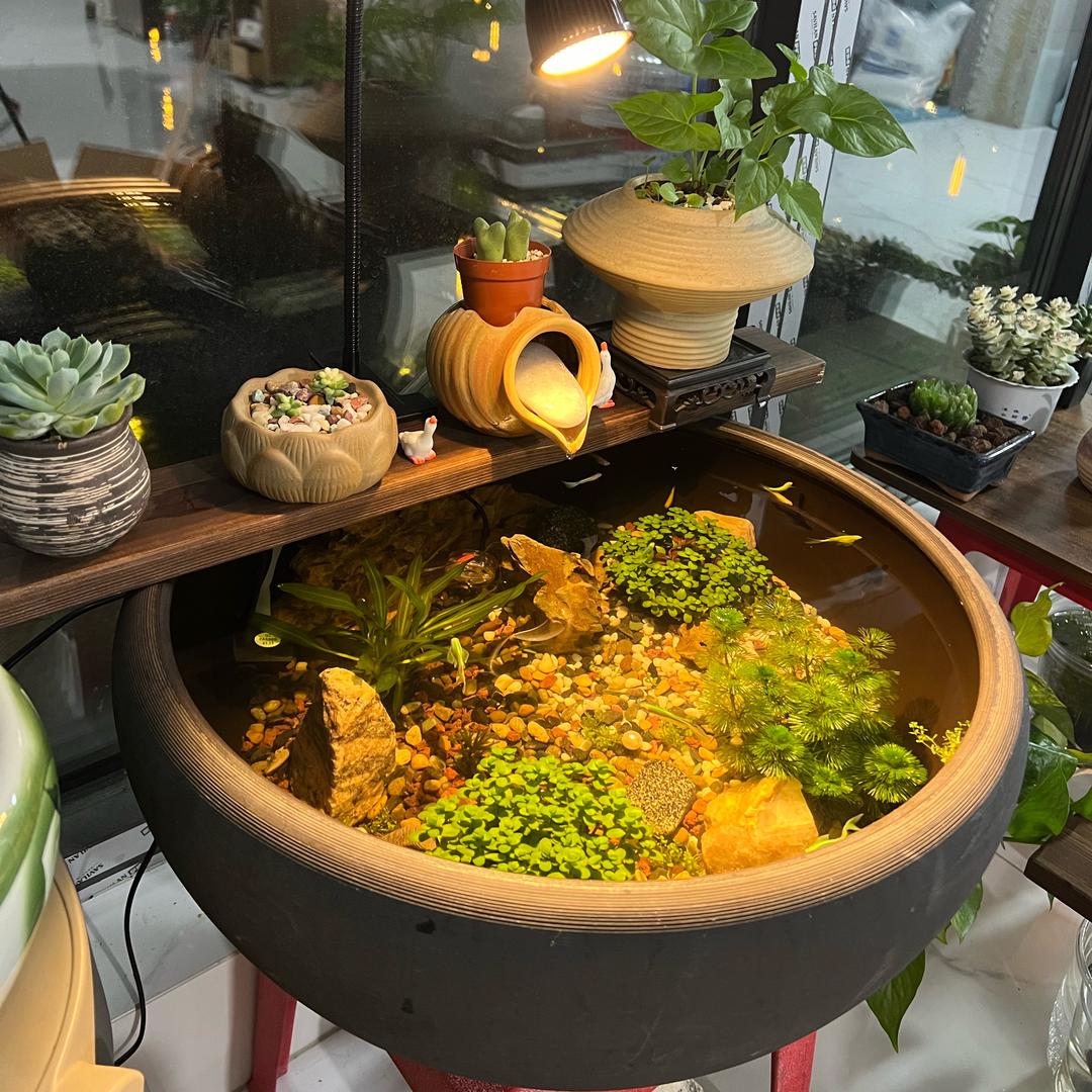 破而后立 浴火重生