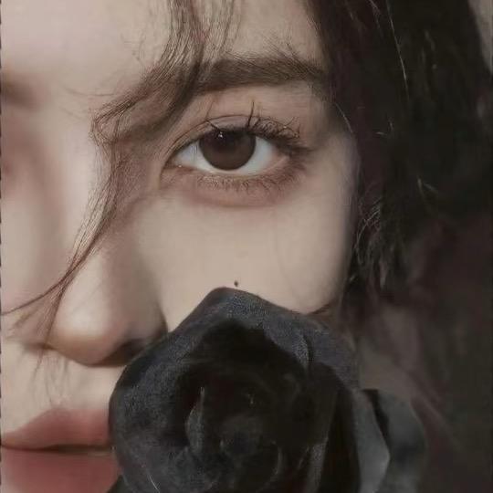 蝴迪👸