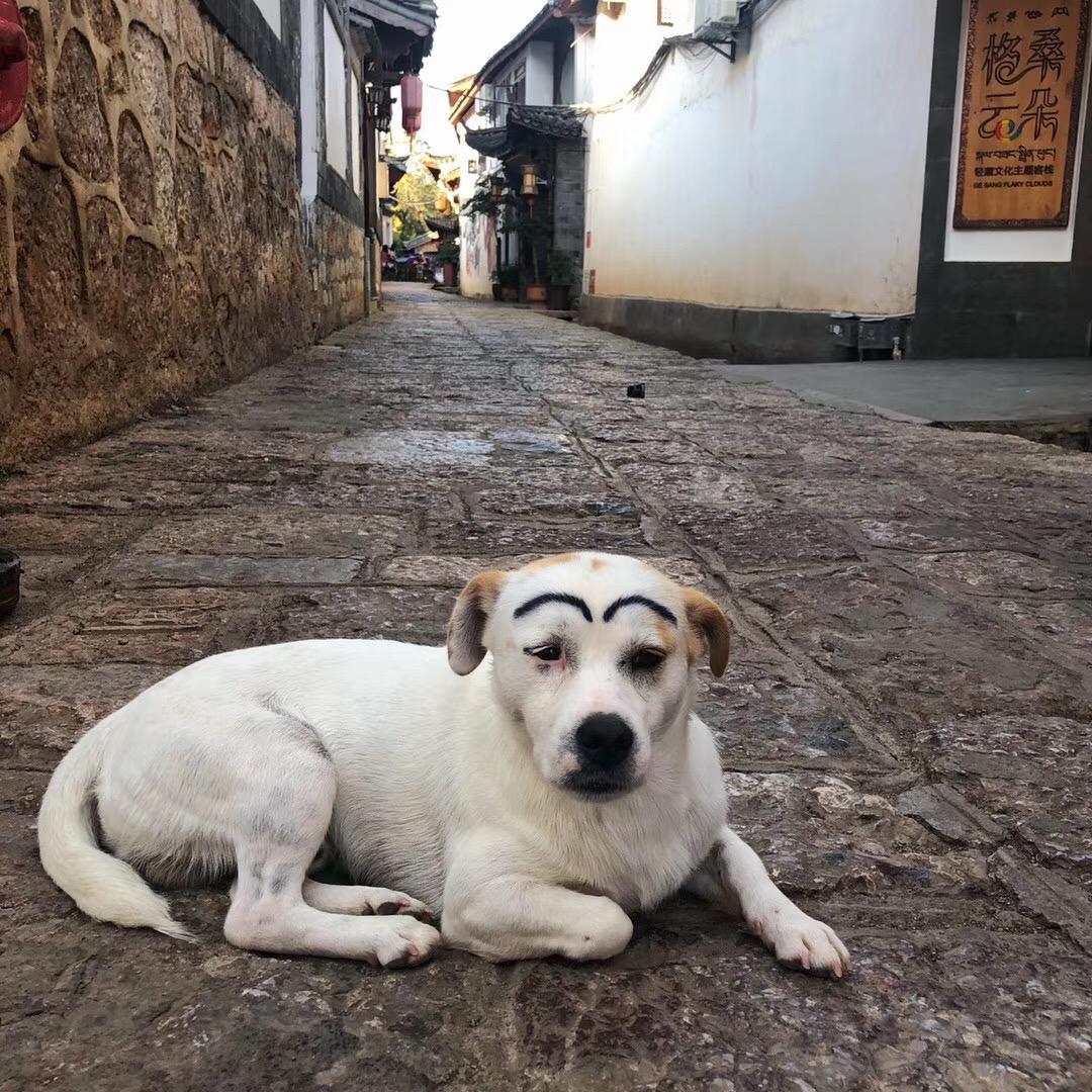 超级马格楠