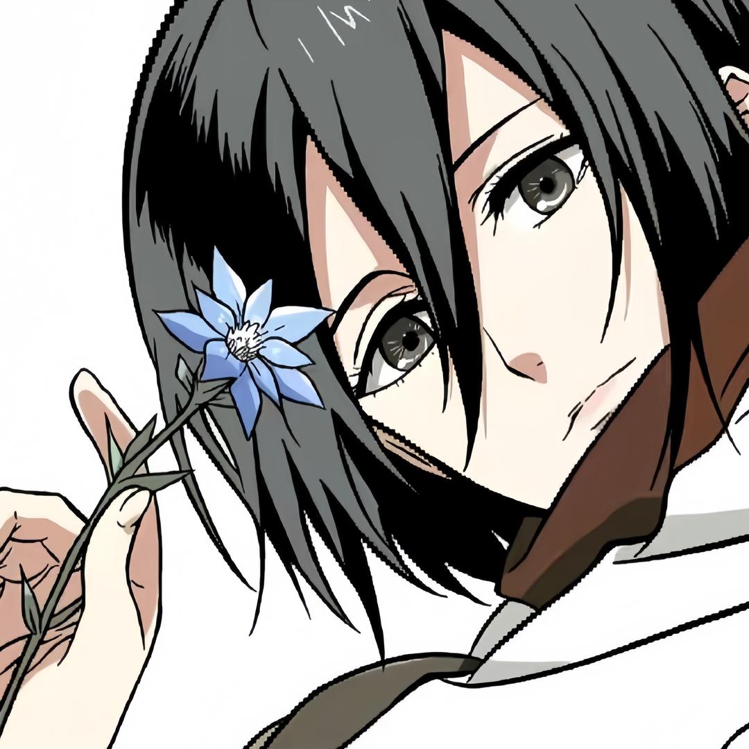 mikasa