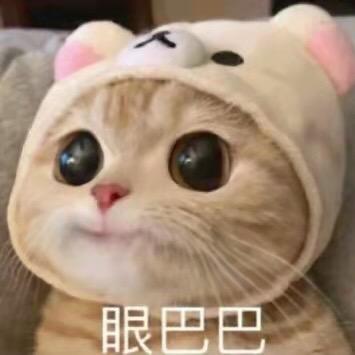 🌈张张可爱多🐥