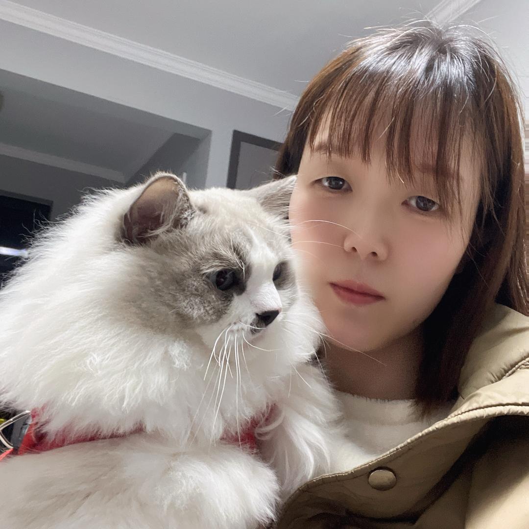航宝麻麻