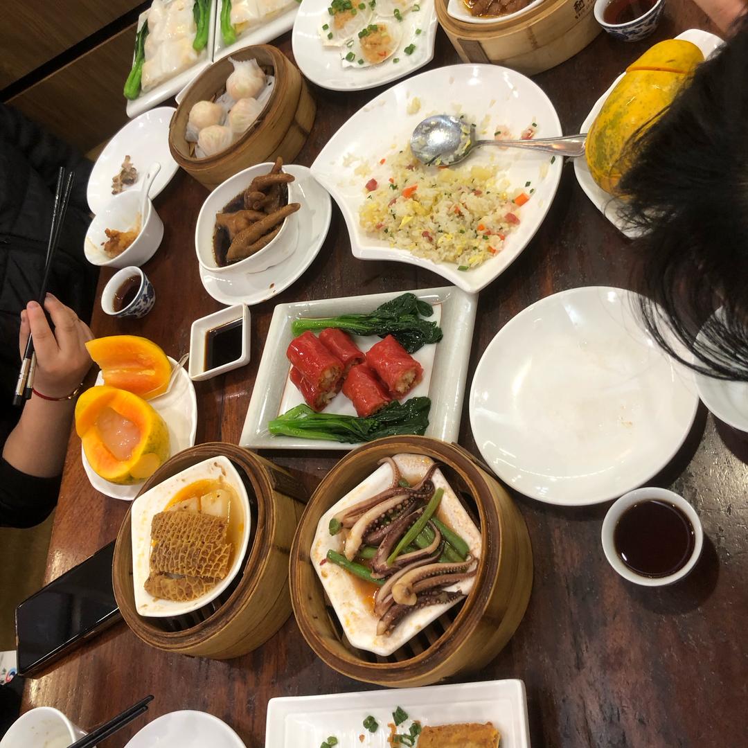 旺旺奔跑起来吖