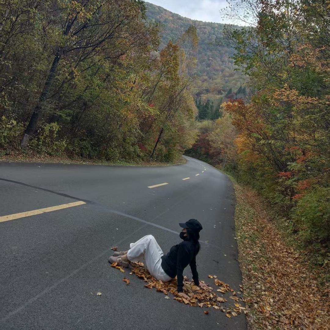 秦富贵🐶是只狗