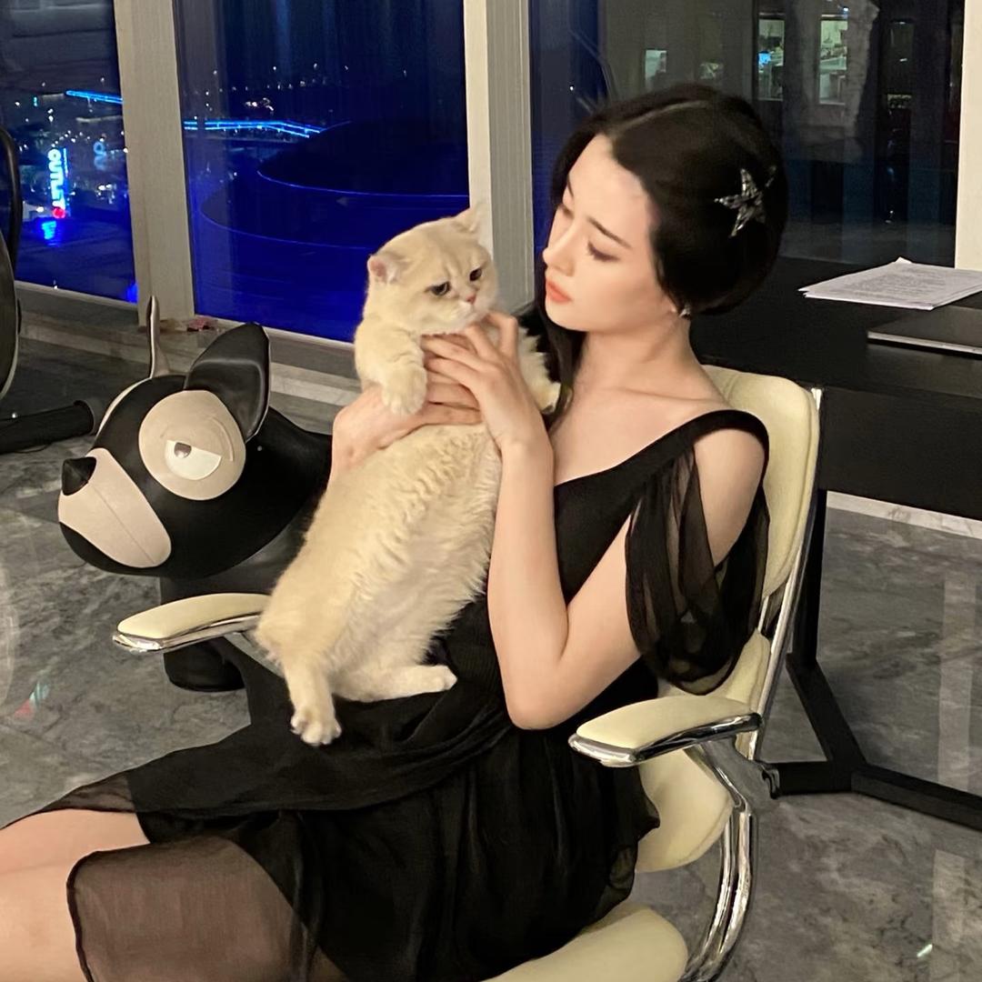 绝情前妻姐