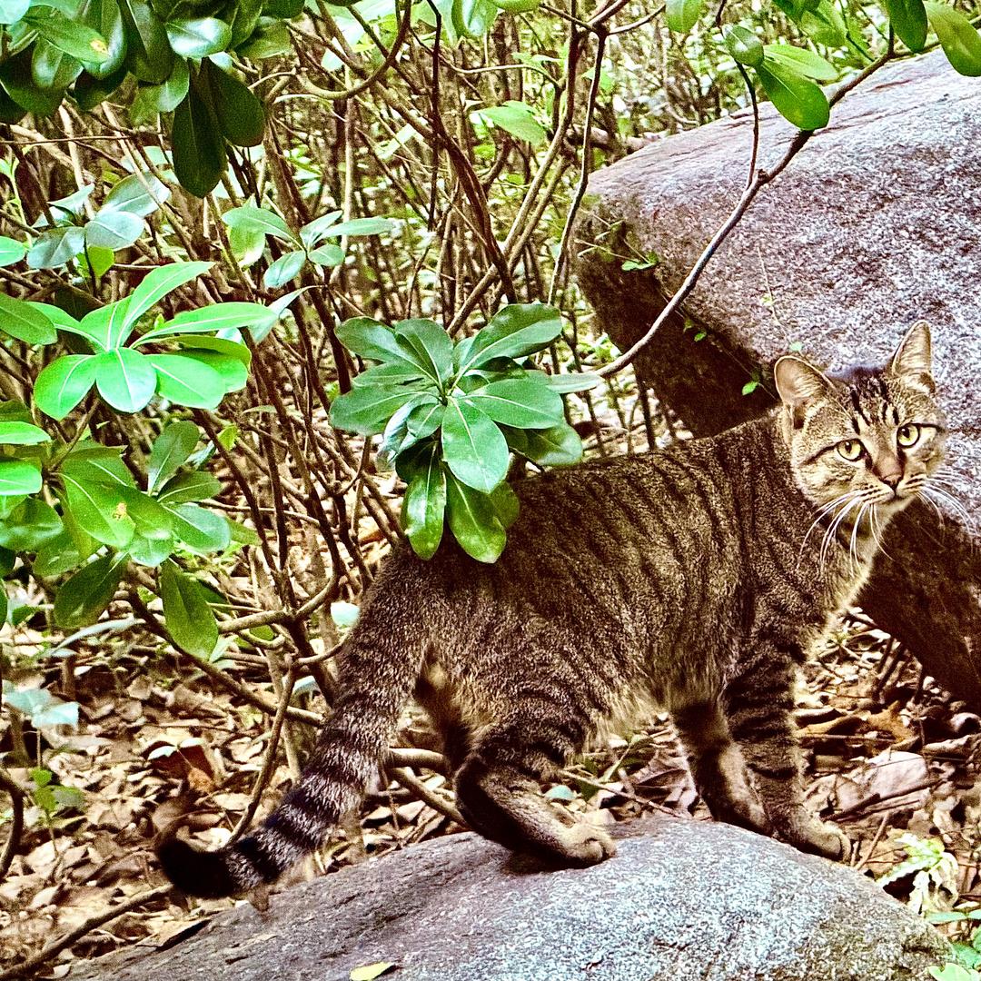 🤔菈麵嚻鞷🤗