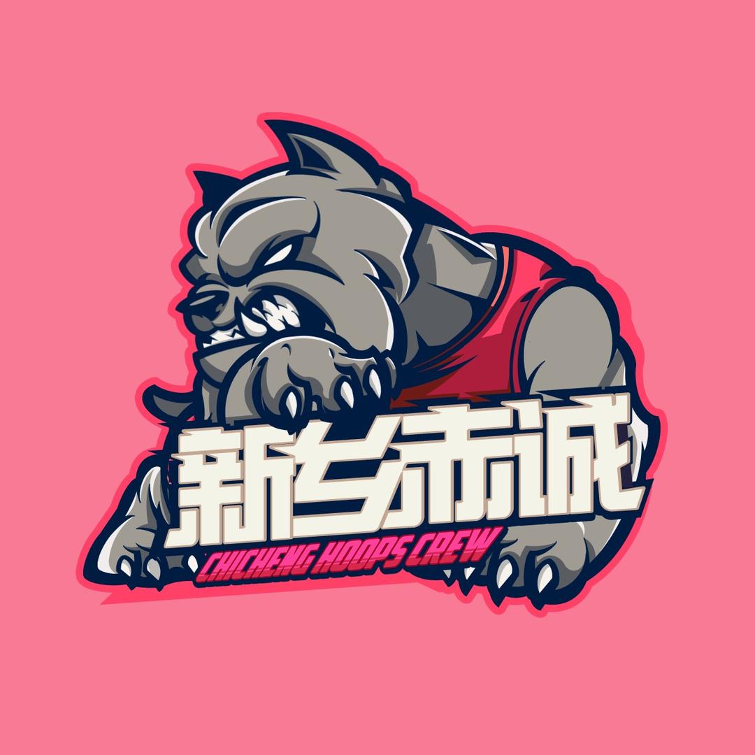新乡.赤诚篮球集团