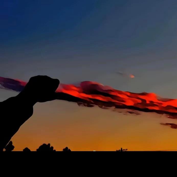 海南自建房和别墅施工和设计-陈工