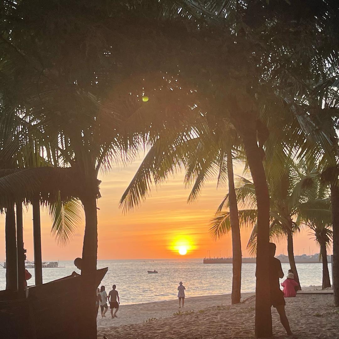 骑着蚂蚁去旅行