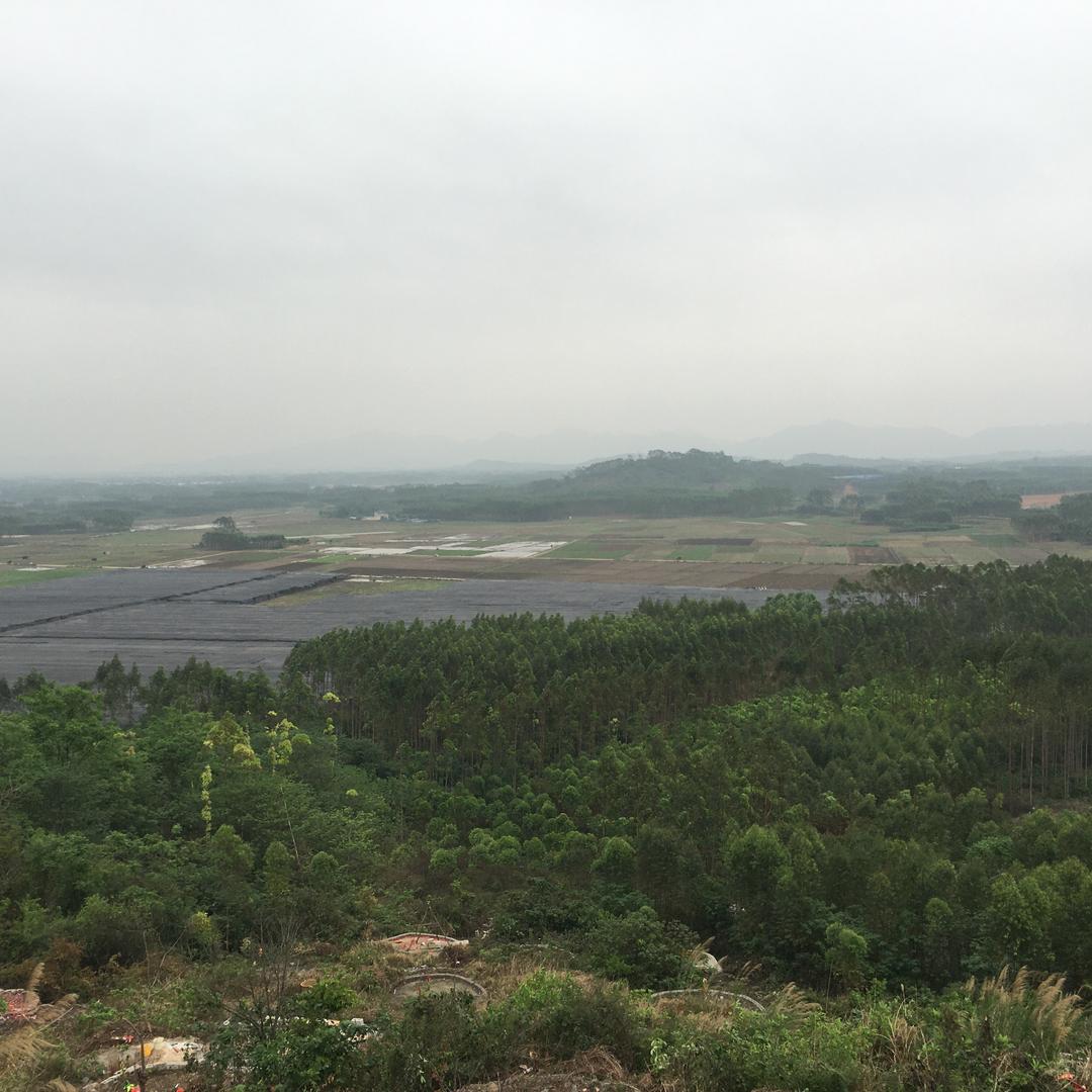 今夜你会不会来