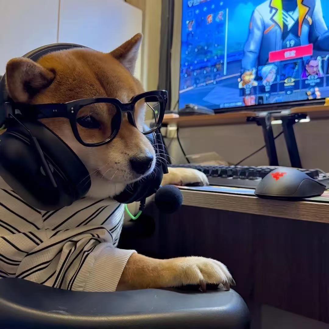 汤泡饭（三角洲鸟窝限定版）