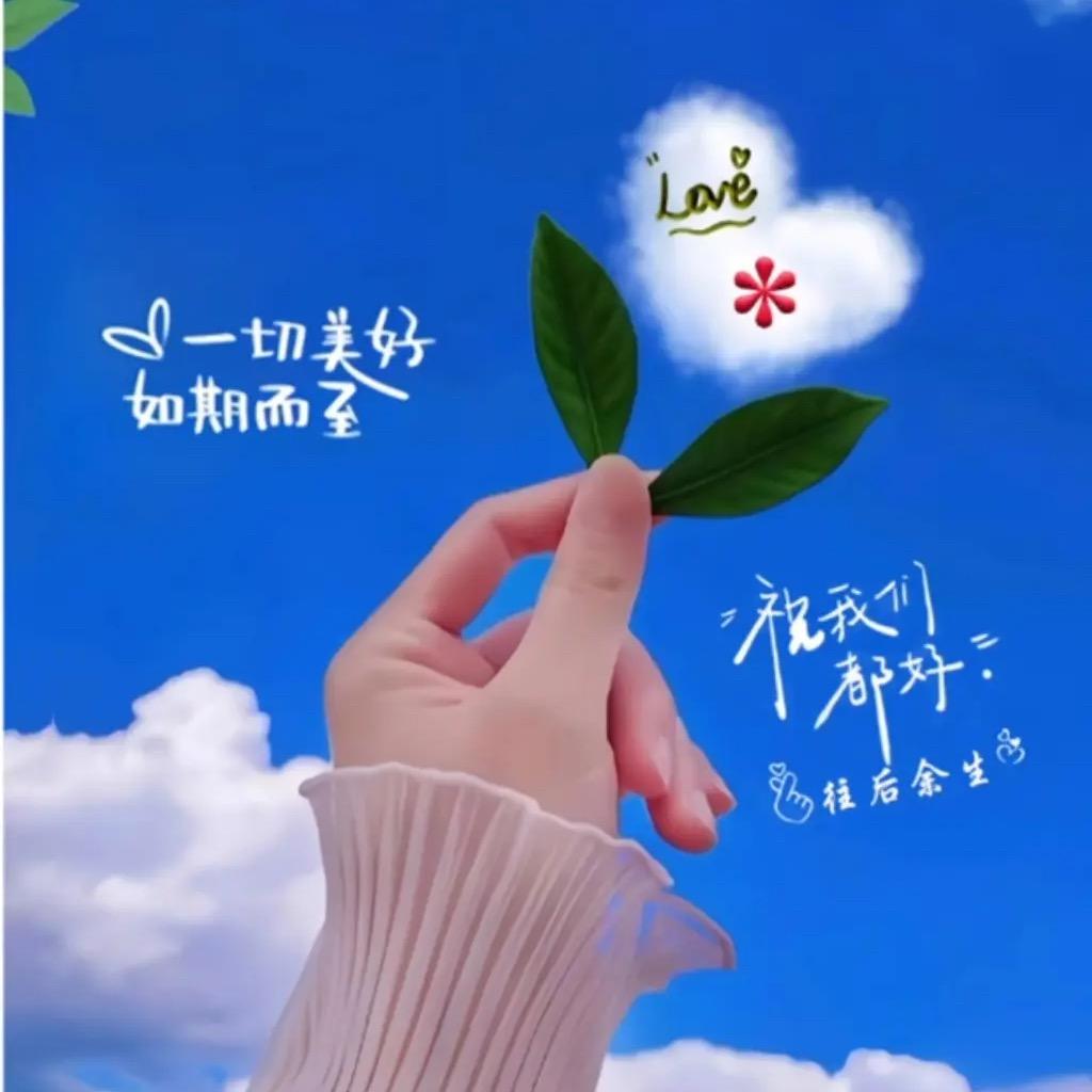 美好百货