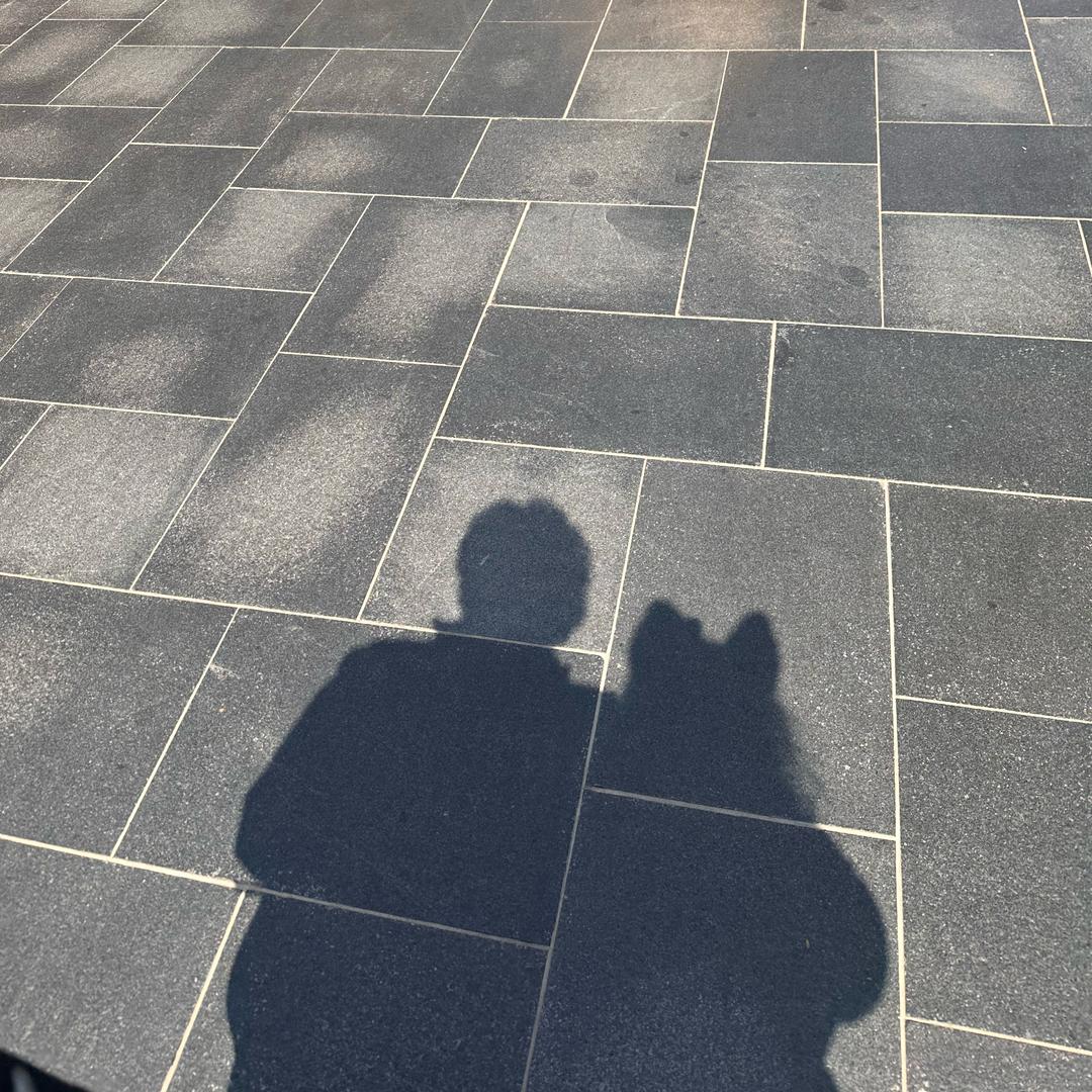 阳阳推文