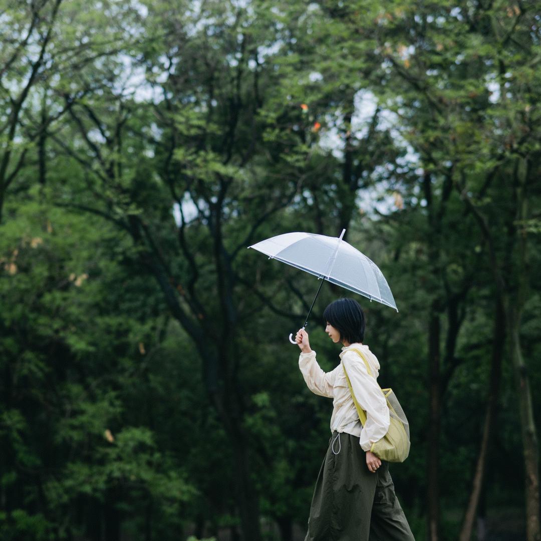 阮婉