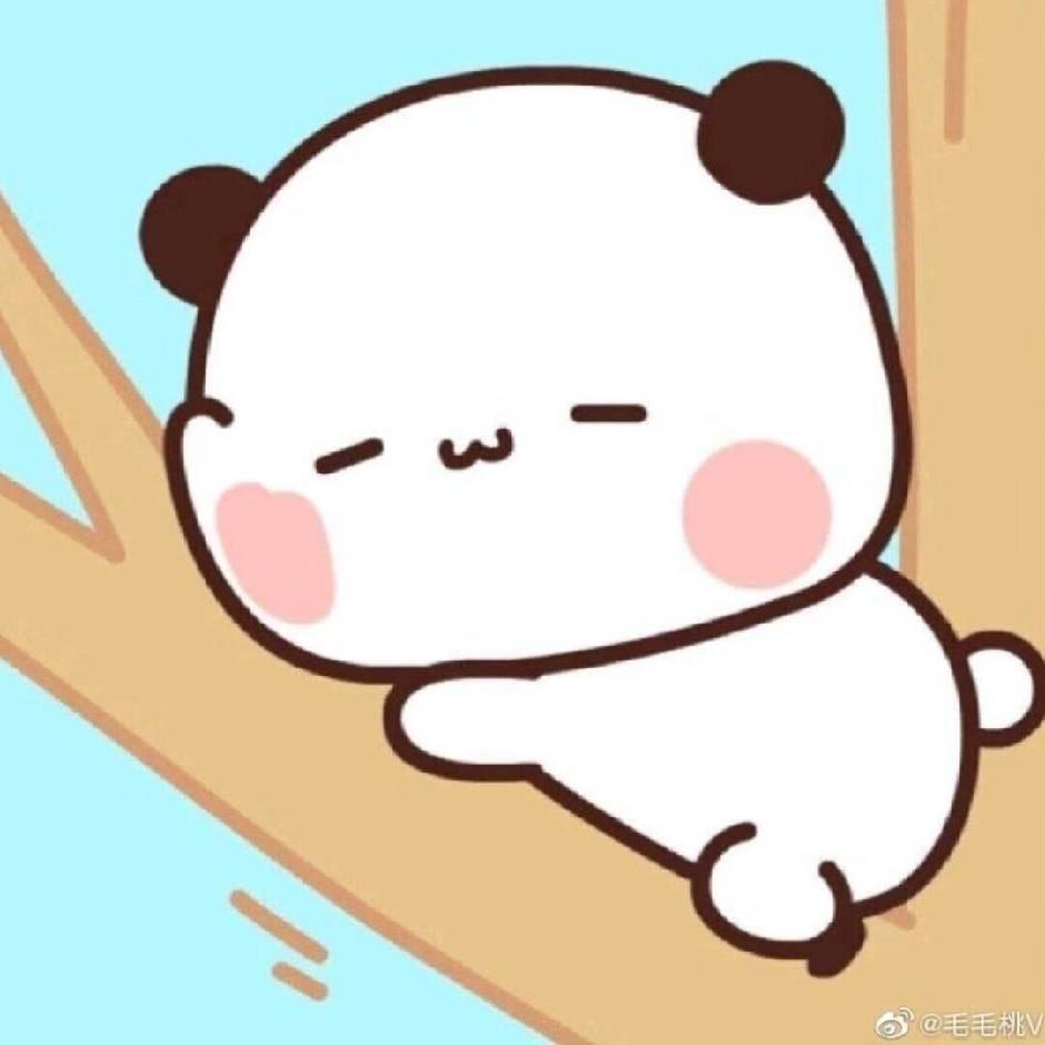 茶衣