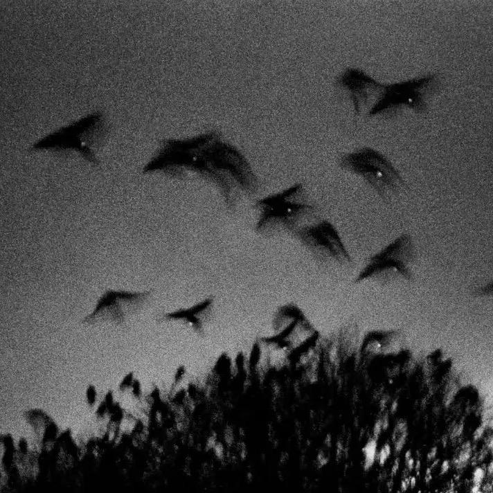 消防日常记录号