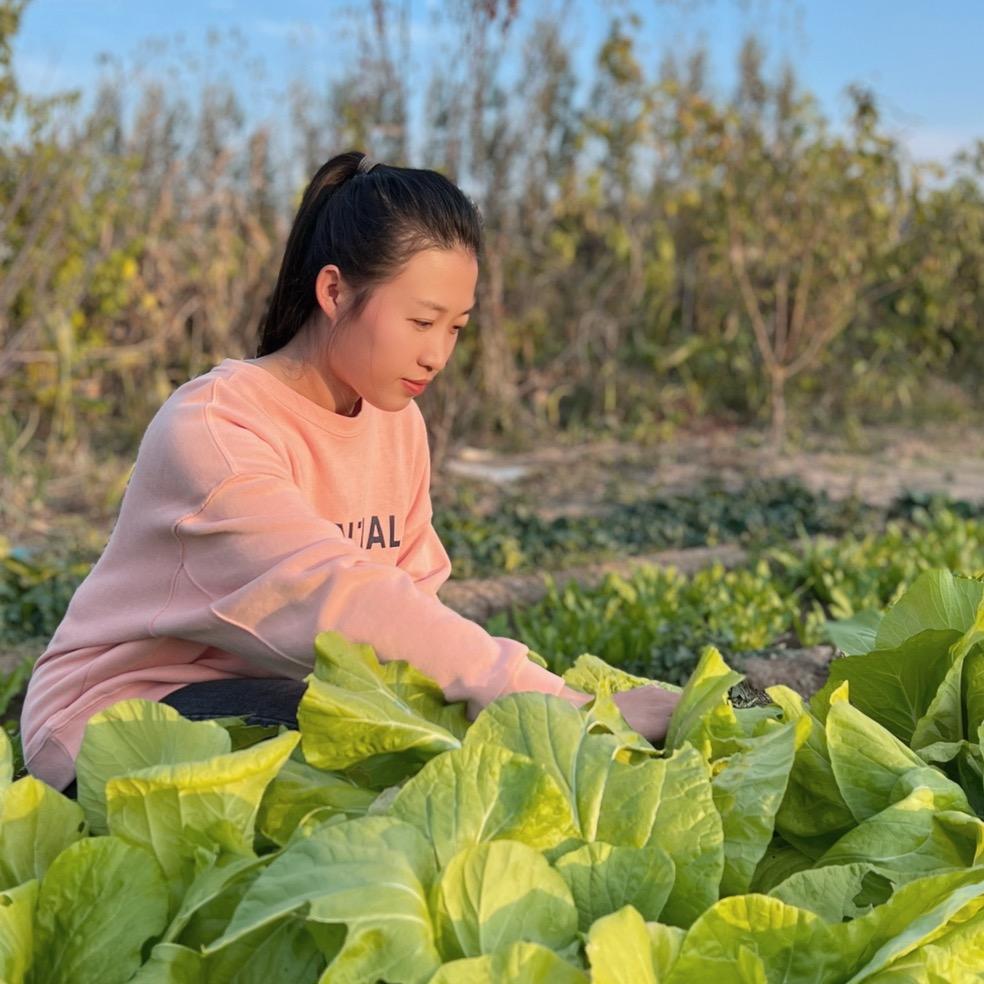 蕾蕾7号早9点品牌内衣破价秋款上新