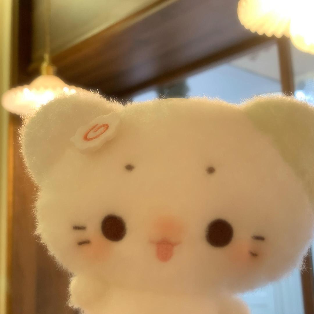 一只小静（橱窗营业版）