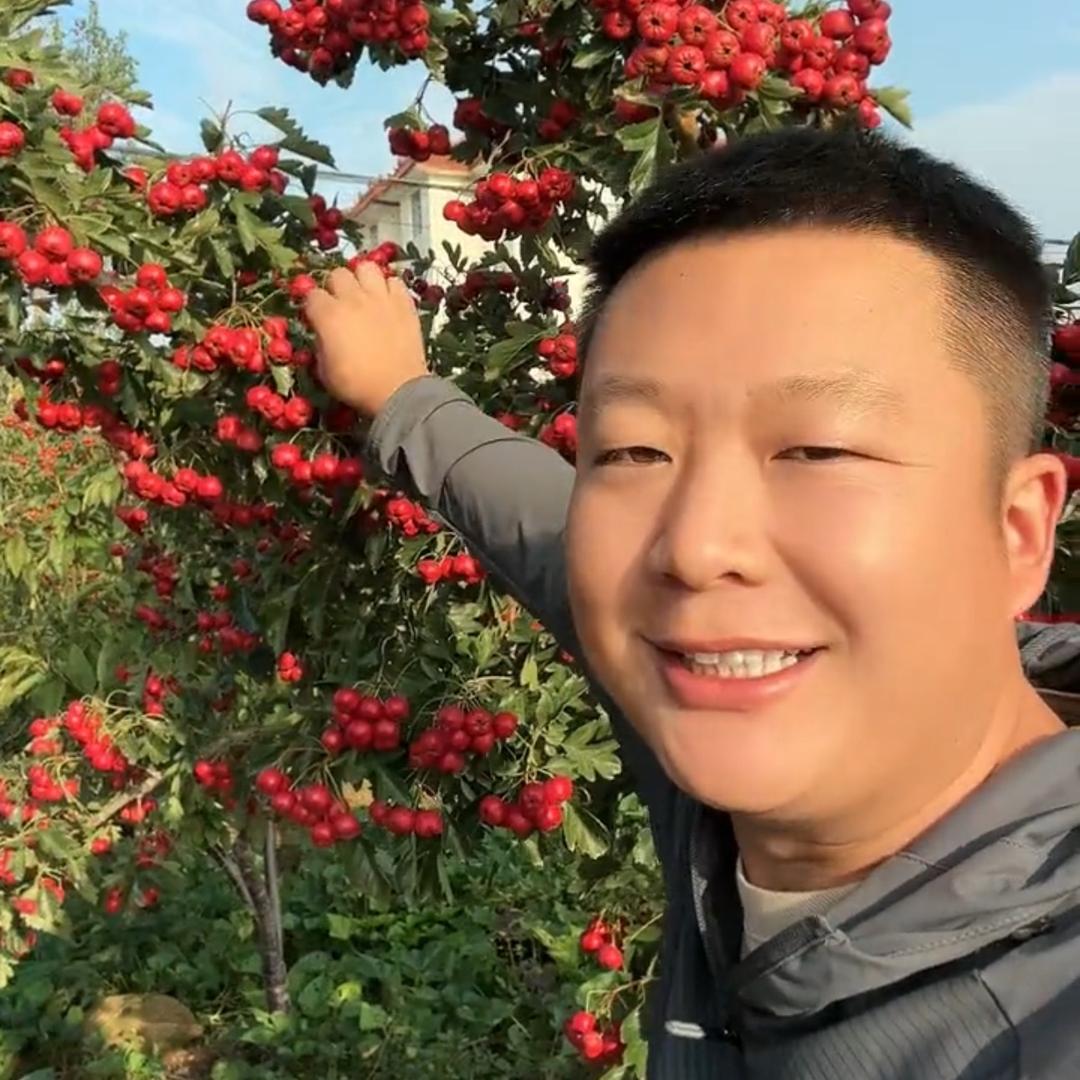 大刚