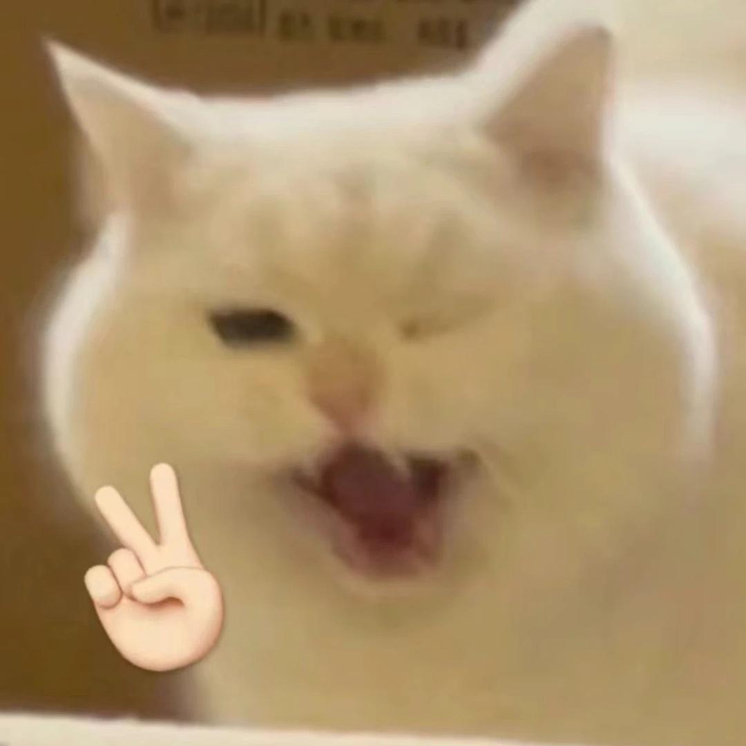小总
