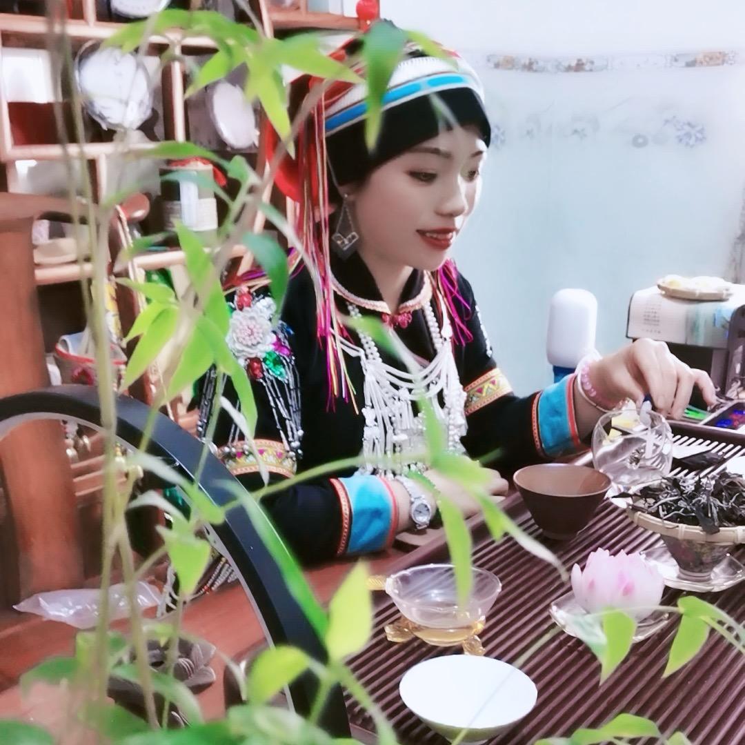 云南老山小芳🍵🍵