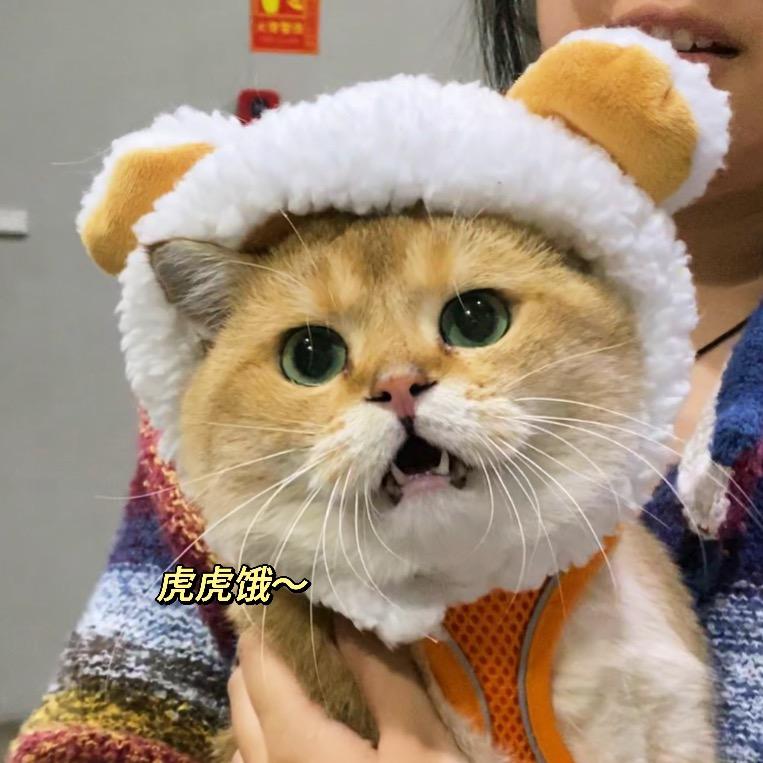小祁好多喵