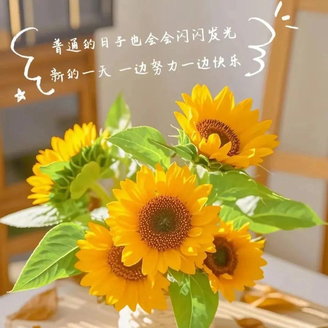 小杨~新能源二手车