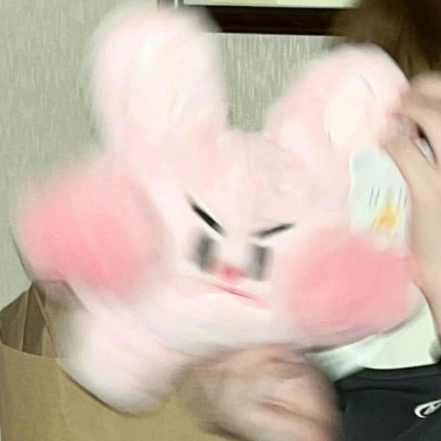 王了个京