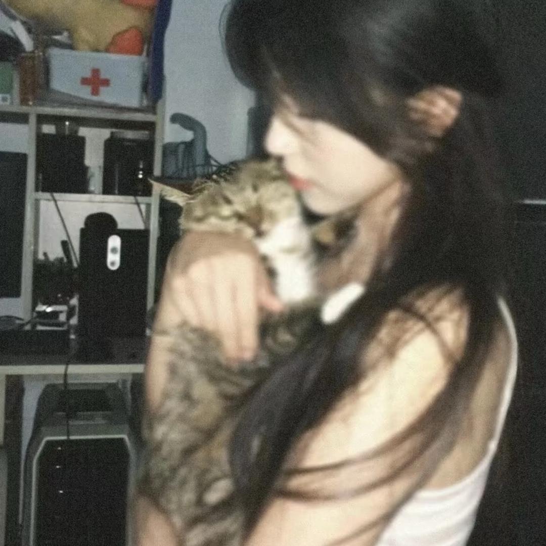 不吃鱼的猫