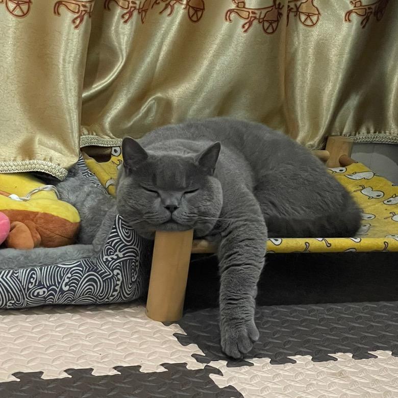 123kK