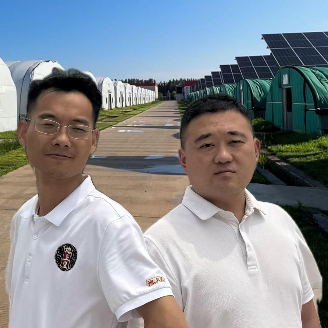 岳芝宗仙草灵芝2号